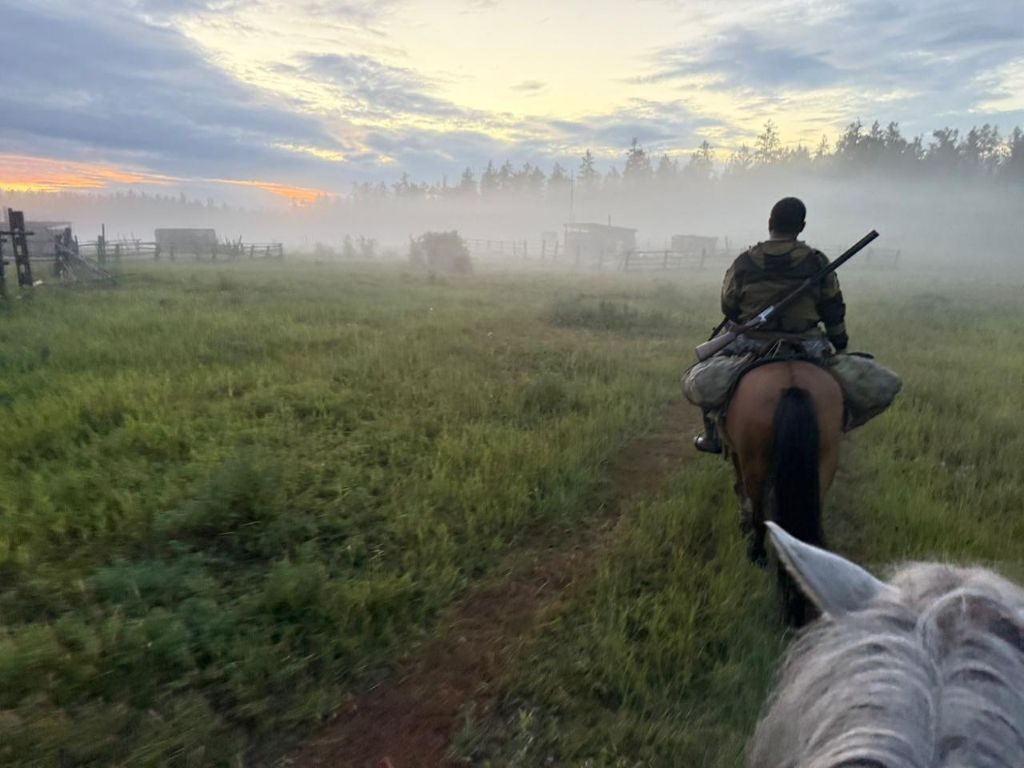 Horseback ride through the foggy taiga at sunrise